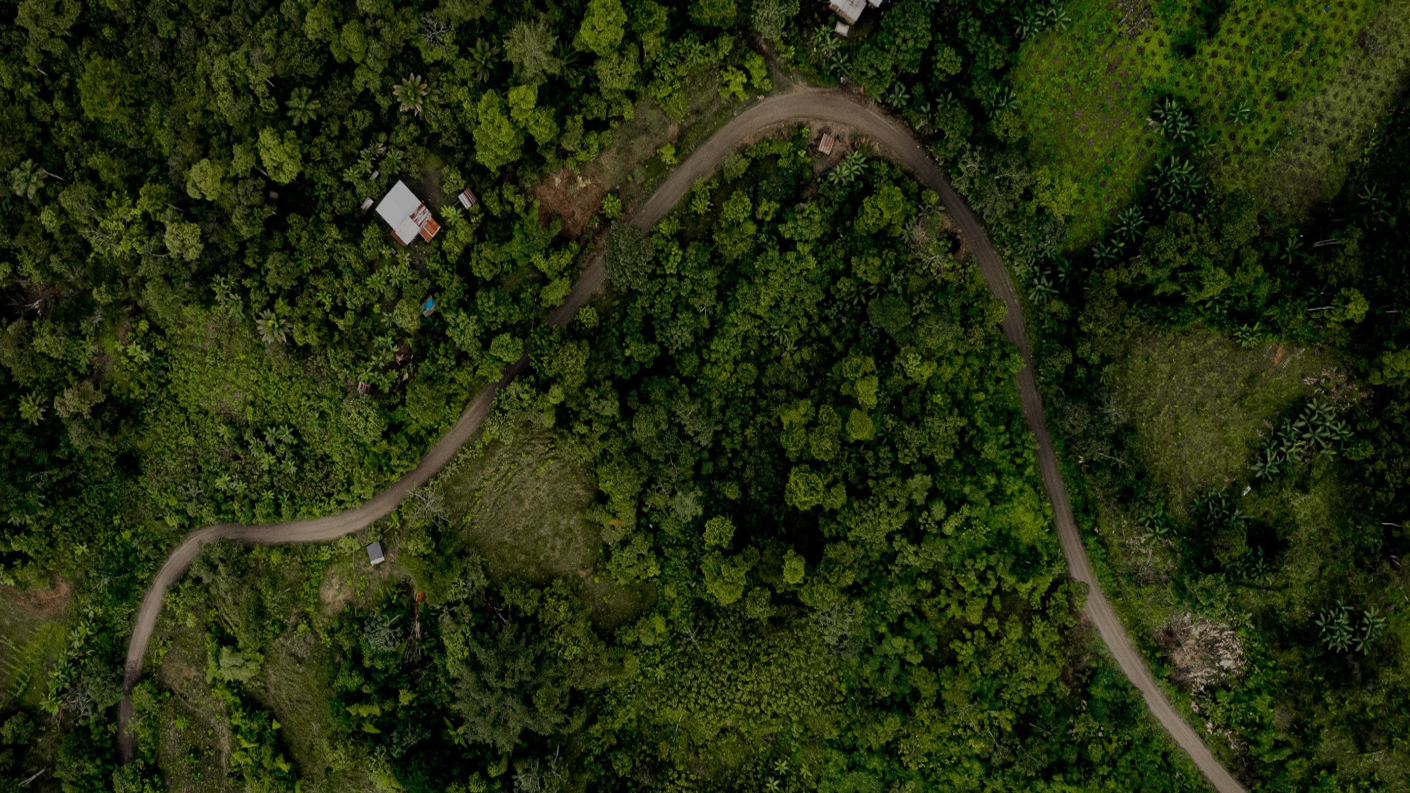 Aerial cacao farmland